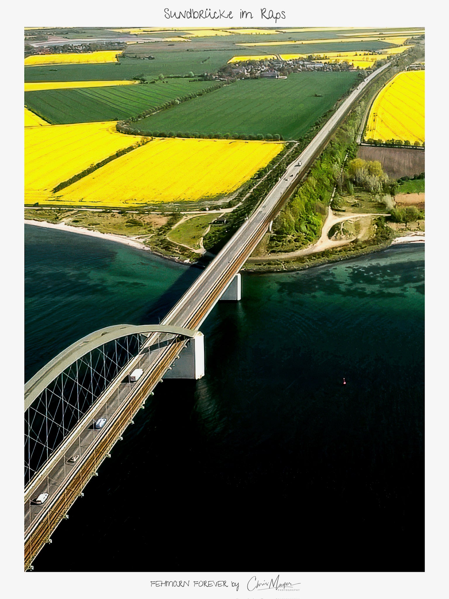 Südstrand von oben & Sundbrücke im Raps, FF Motiv Poster Hochformat