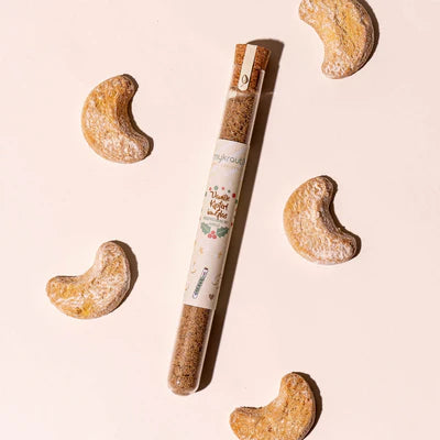 verschiedene Weihnachtsgewürze