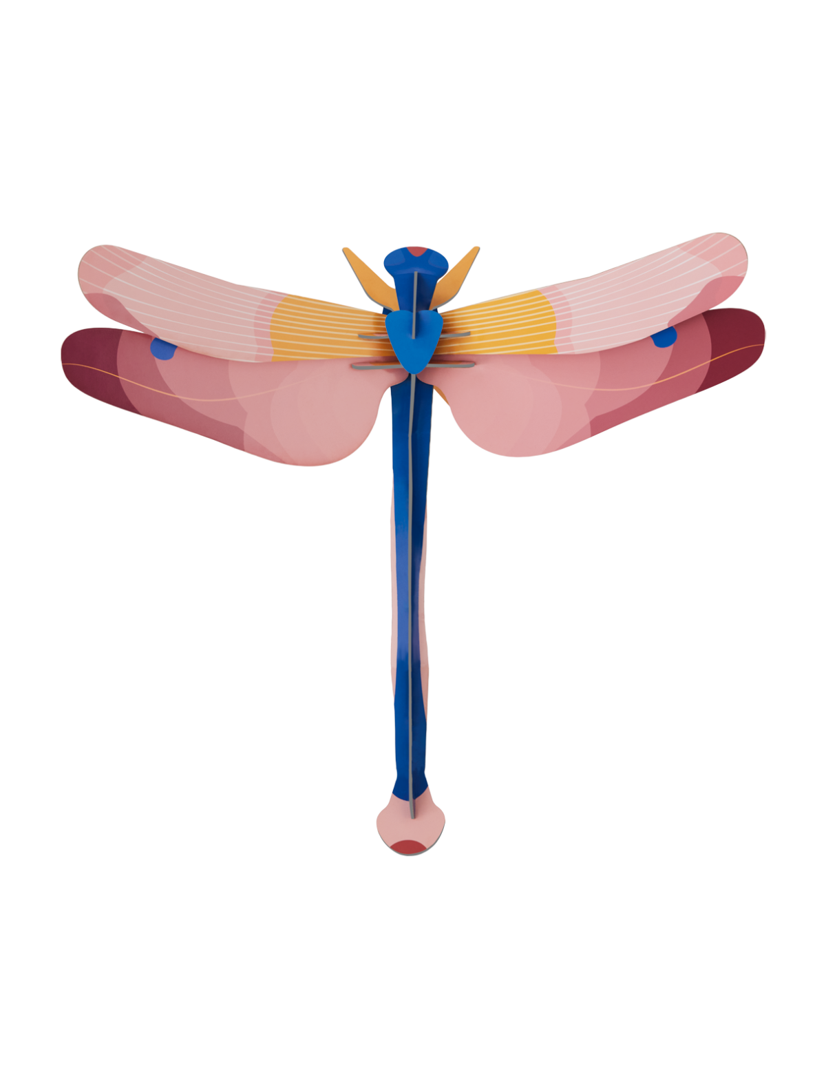 Libelle, gross