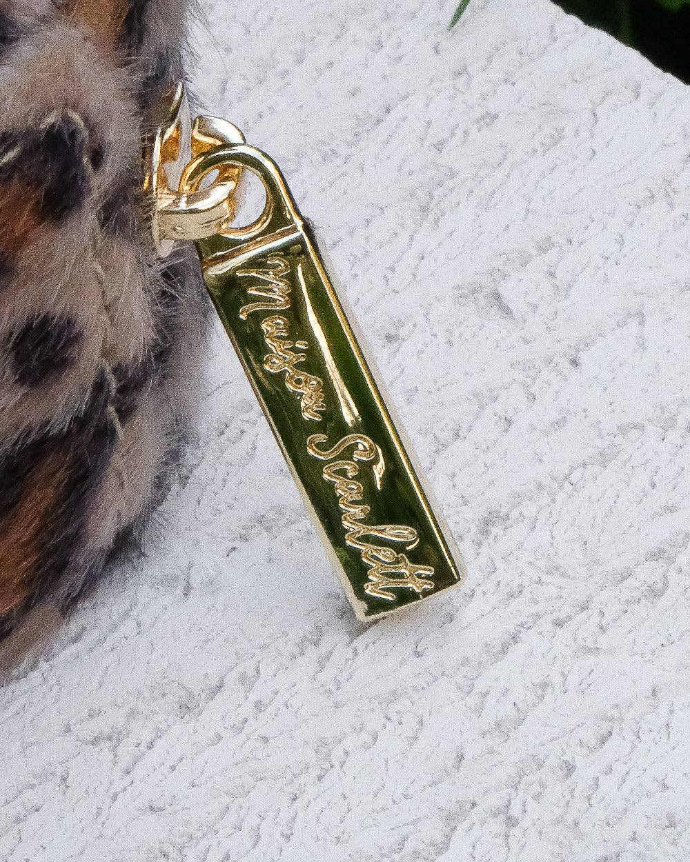 Schmuckkästchen, leopard