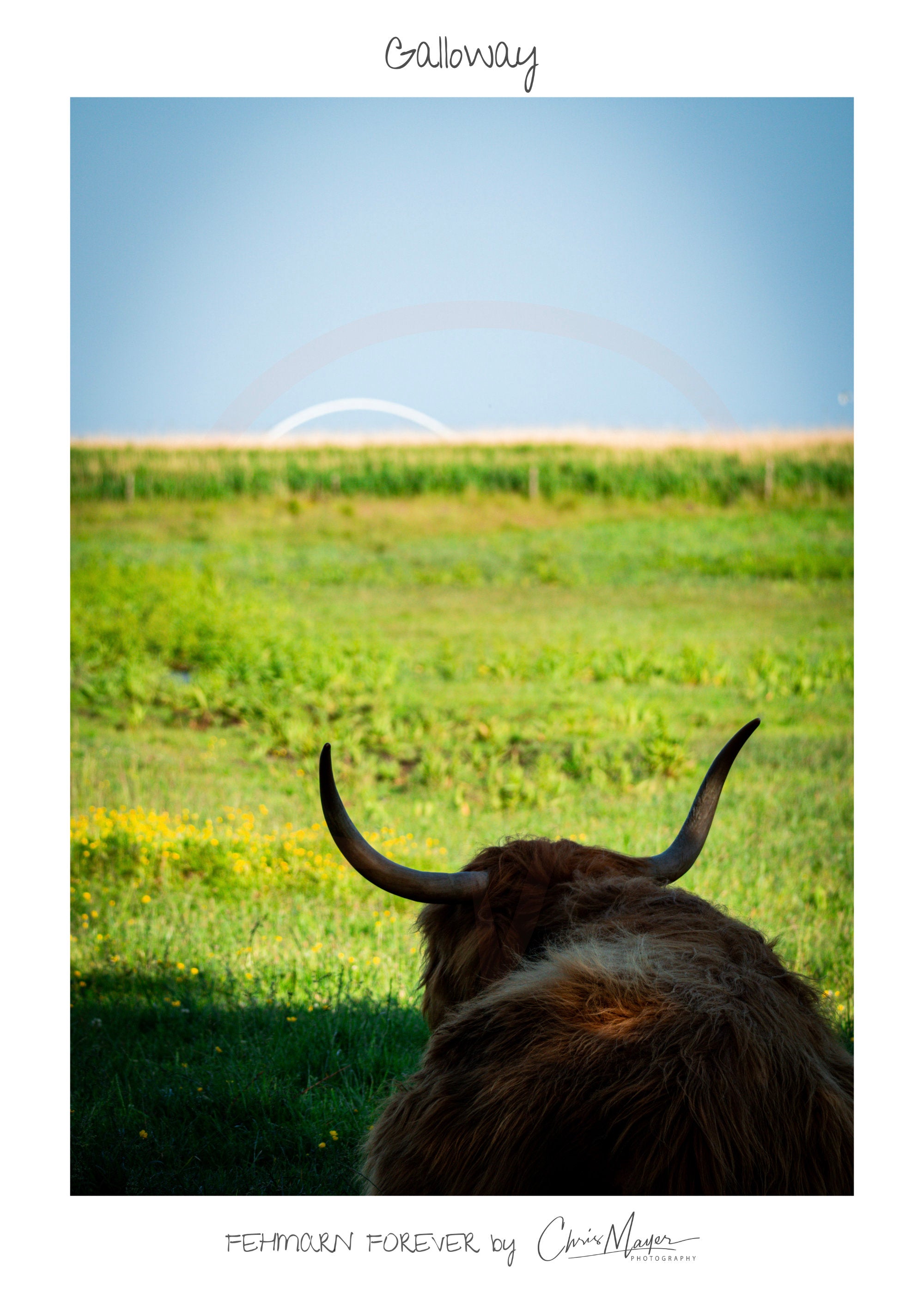 Poster Limited Edition "Fehmarn Forever", verschiedene Motiven, 50 x 70 cm Hochformat