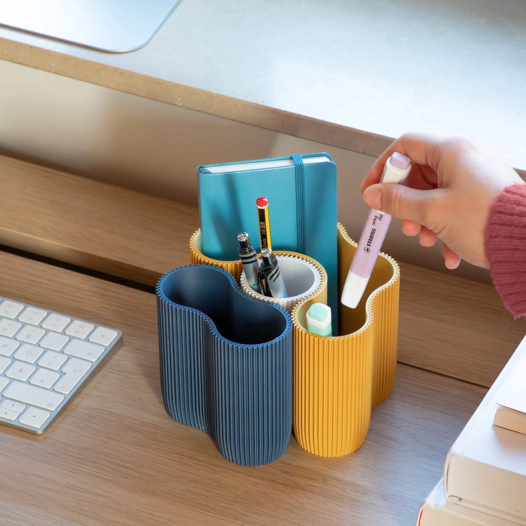 3D- Stiftehalter-Koralle, verschiedene Farben und Grössen