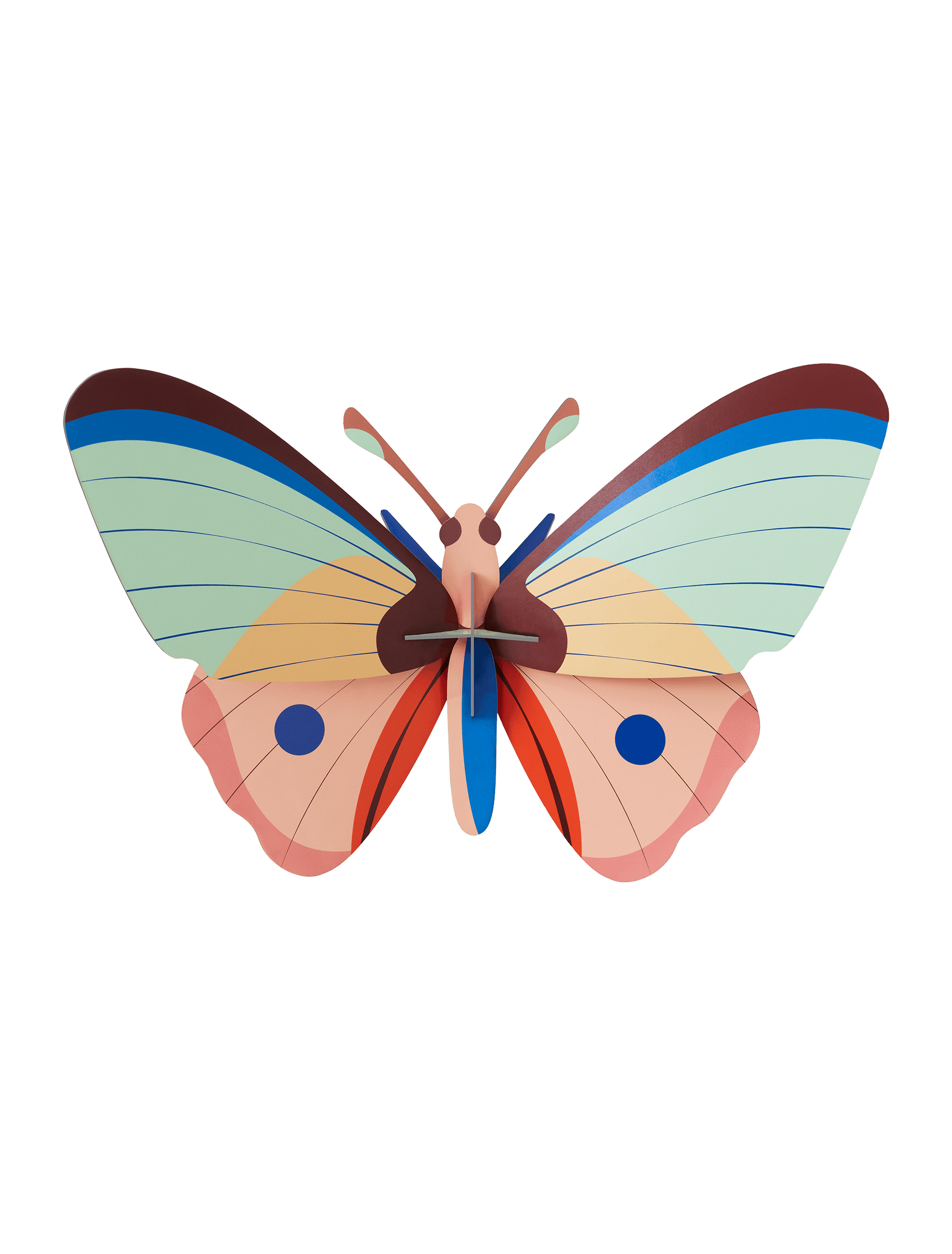 Schmetterling, gross