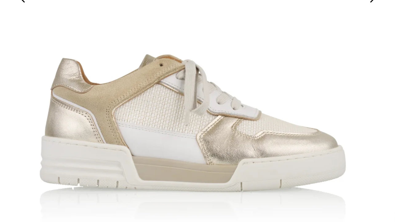 DWRS Sneaker sand /chamgagne