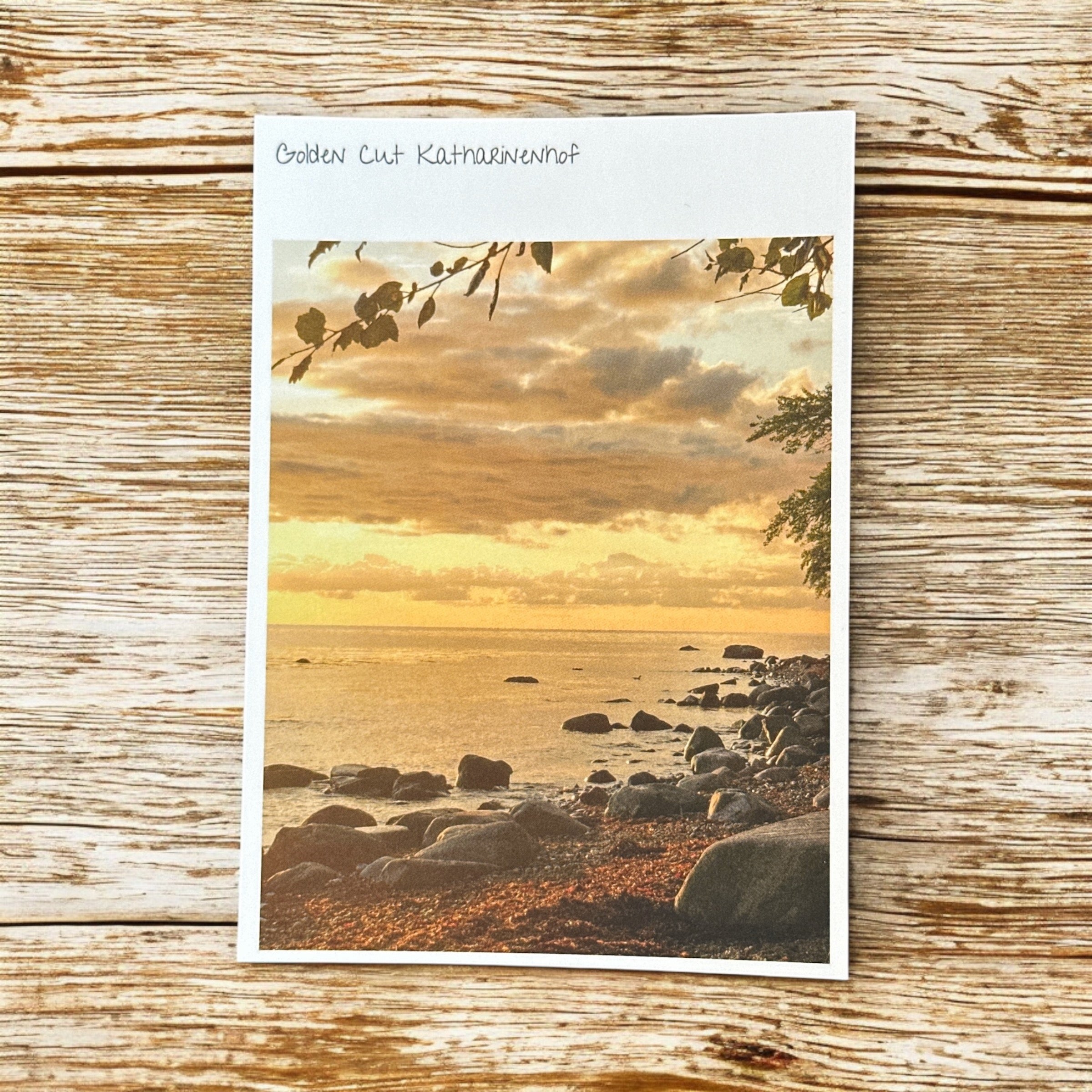 Postkarte "Golden Cut Katharinenhof"