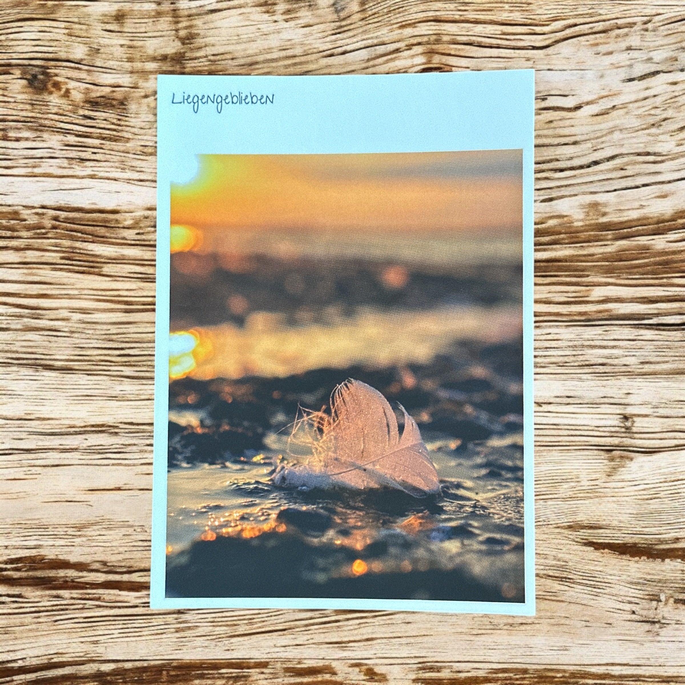 Postkarte "Liegengeblieben" Grüner Brink