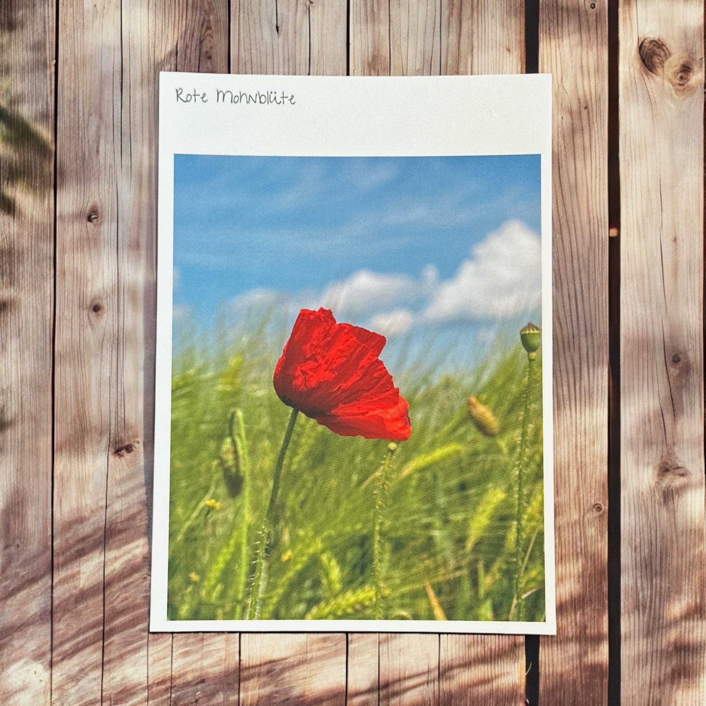 Postkarte "Rote Mohnblüte"