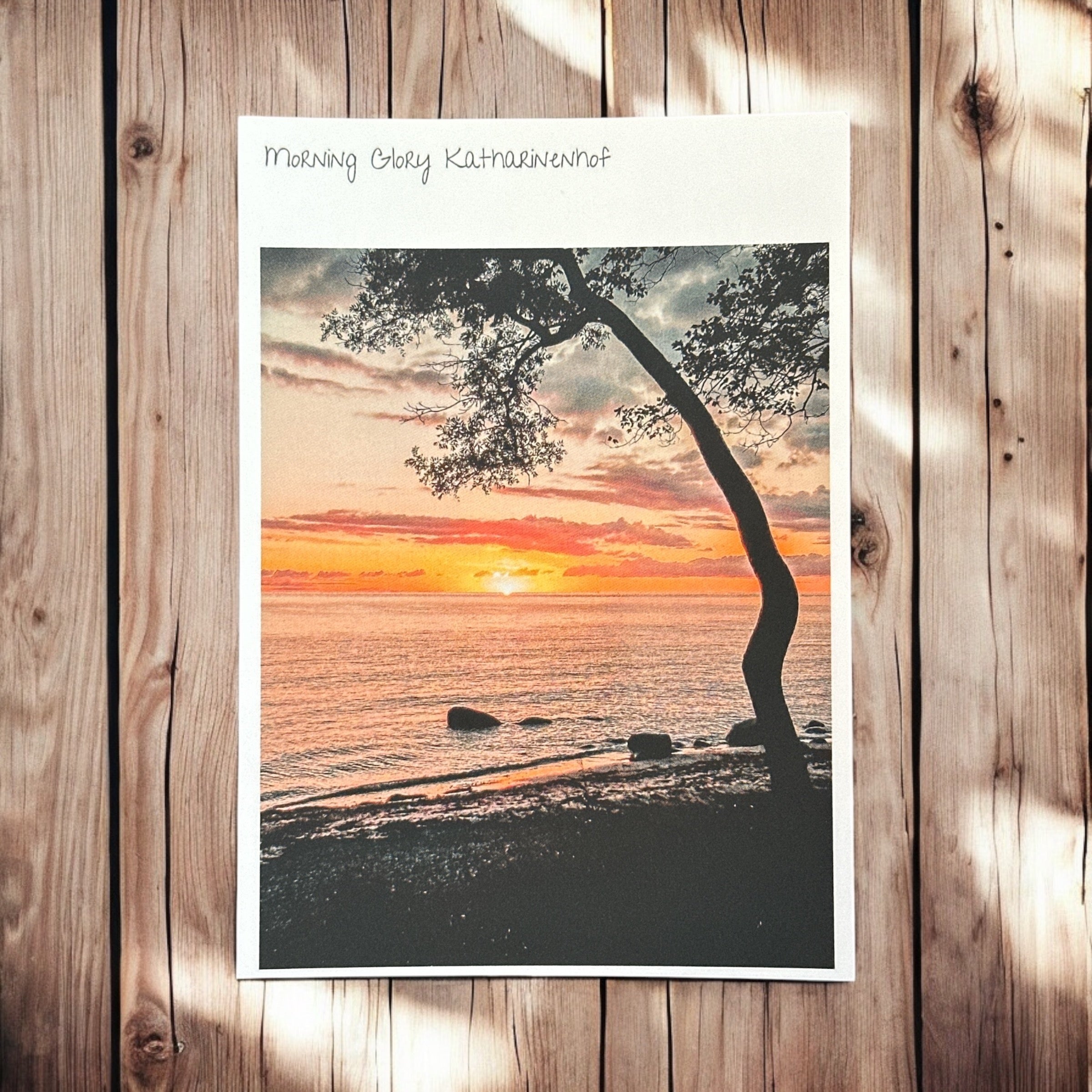 Postkarte "Morning Glory Katharinenhof"