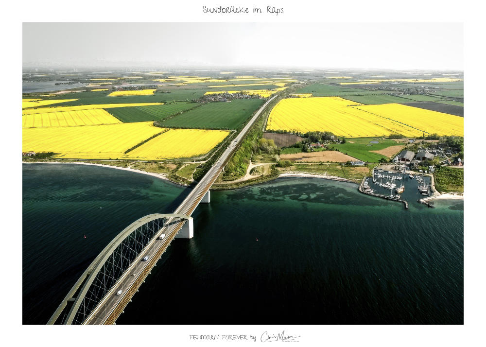 Südstrand von oben & Sundbrücke im Raps, FF Motiv Poster Hochformat