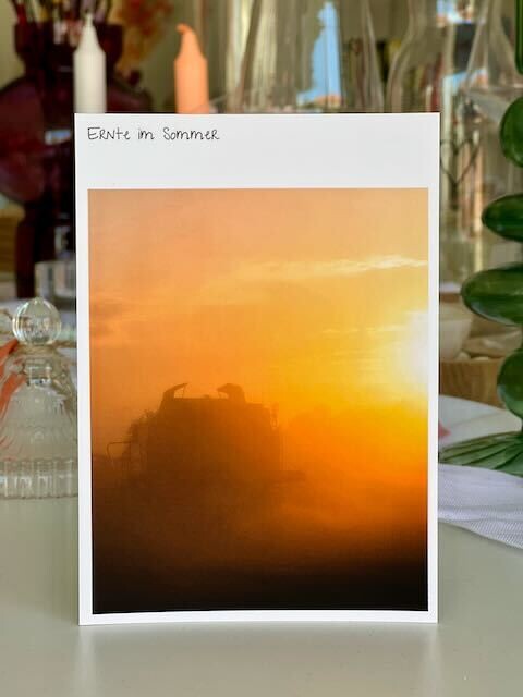 Postkarte "Ernte im Sommer", Fehmarnsund