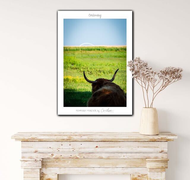 Poster Limited Edition "Fehmarn Forever", verschiedene Motiven, 50 x 70 cm