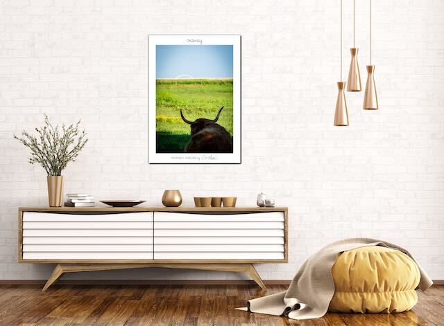 Poster Limited Edition "Fehmarn Forever", verschiedene Motiven, 50 x 70 cm