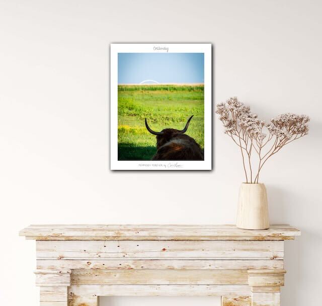 Poster, Limited Edition "Fehmarn Forever", 40 x 50 cm
