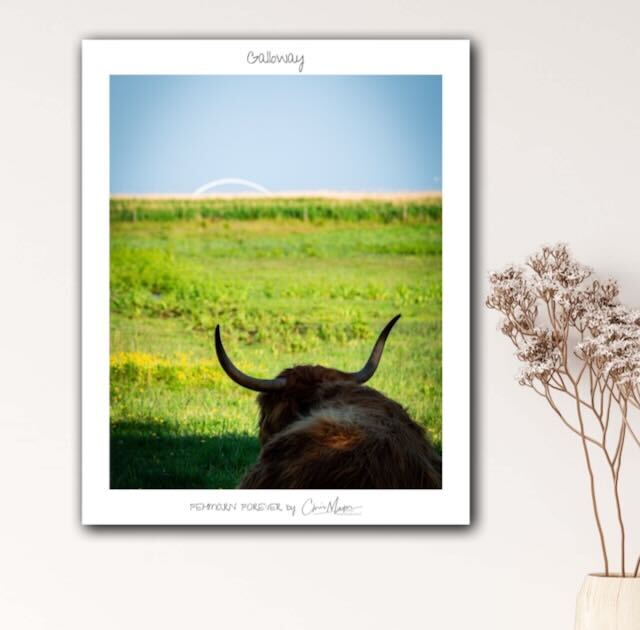 Poster, Limited Edition "Fehmarn Forever", 40 x 50 cm