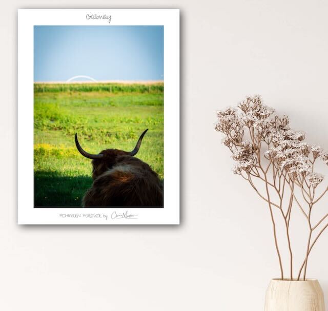 Poster Limited Edition "Fehmarn Forever" verschiedene Motive, 30 x 40 cm