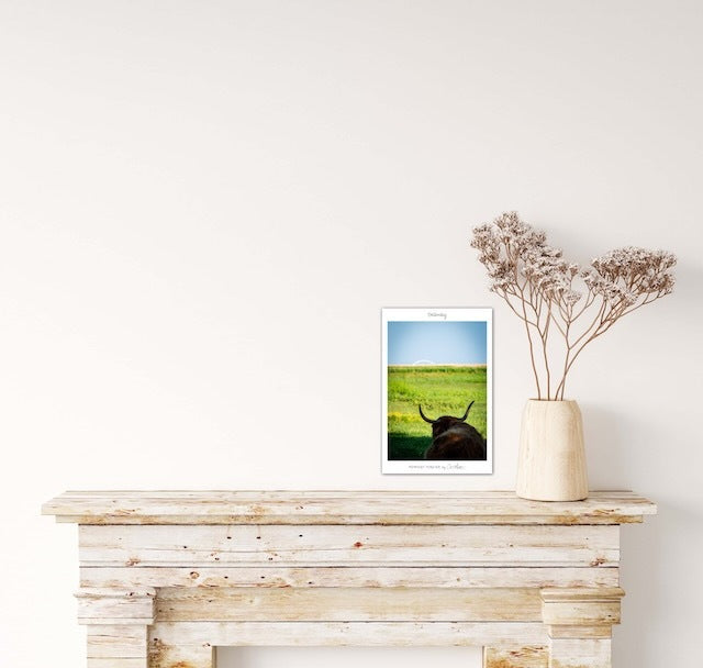 Poster Limited Edition "Fehmarn Forever" verschiedene Motive 20 x 30 cm